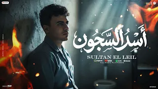 اسد السجون   مسجون وفاشل   سلطان الليل        توزيع ميزو التركى   انتاج          دندنها