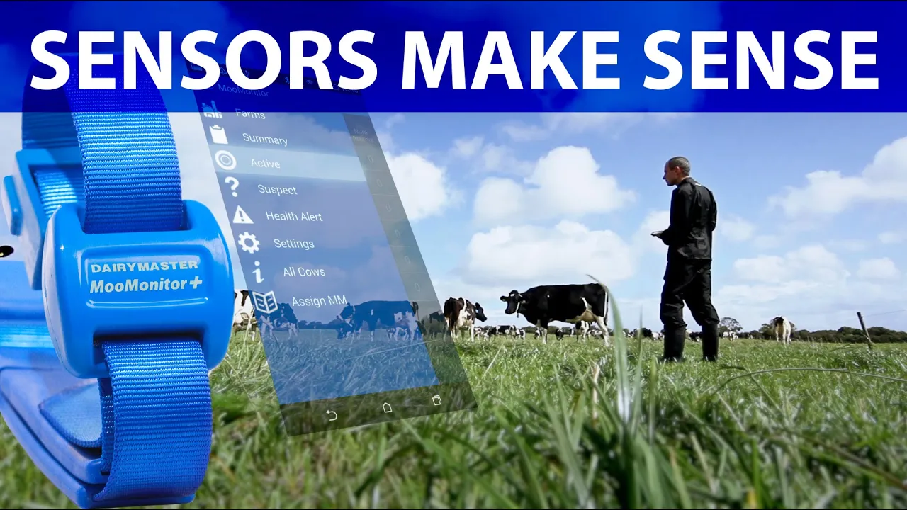 Outline Video Improving Health & Fertility for each cow with MooMonitor+
