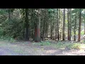 Logging Selective vs Clear Cut
