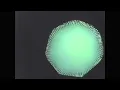 Khruangbin - White Gloves (Official Video)