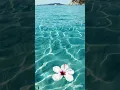 Giulio Cercato - Ocean Breeze