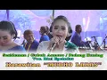 Download Lagu Sesideman / Gubuk Asmoro / Podang Kuning - Rini Epeledut Karawitan MUDHO LARAS - SANDRO Record