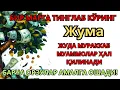 Lagu ЭНГ КУЧЛИ ДУО Бараот ЖУМА куниЖуда қийин муаммолар ҳал этилади |олиб келади #дуо #Зікір #Ризық