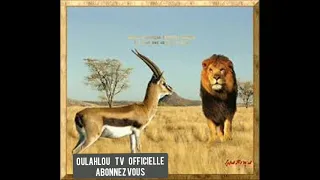 Oulahlou Izem Tsaghzalt  Oulahlou Izem Tsaghzalt