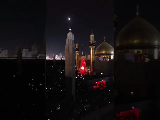 ⁣أشهدُ أنَّ عليًّا وليُّ الله