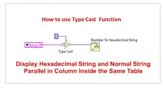 How to use Type Cast Function LabVIEW String and Hexadecimal String