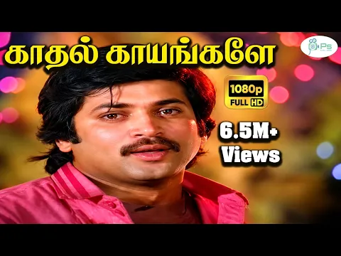 Kadhal Kayangale Neengal - YouTube