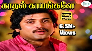 kadhal kayangale neengal k j yesudas malaysia vasudevan love sad song
