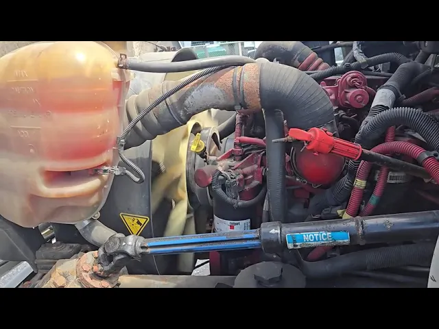 View Video