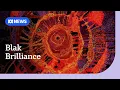 NAIDOC Week Awards celebrate 50 years of First Nations excellence ABC News