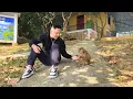 Dad and Monkey Kaka sat together on a deserted island