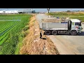 Download Lagu Perfectly Step lightly Landfill Task! Using Dump Truck 25.Ton with Dozer Pushing Soil into big Lake