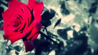 يا رب نظرة منك إلي تبعث الإيمان في ا ابتهال المنشد محمد العزاوي 