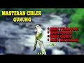Download Lagu MASTERAN VARIASI TEMBAKAN BREN CIGUN || BREN CIGUN DENGAN JEDA SUARA JERNIH