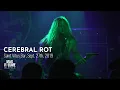 Download Lagu CEREBRAL ROT live at Saint Vitus Bar, Sept. 27th, 2019 (FULL SET)