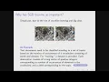 TutORial Stochastic Gradient Descent Recent Trends