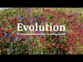 Evolution From natural selection to omega point A conversation with Rupert Sheldrake