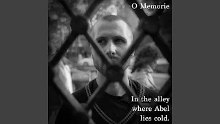 در کوچه ای که هابیل سرد است 