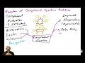 Introduction to the Complement System