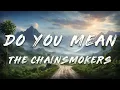 Download Lagu The Chainsmokers, Ty Dolla $ign, bülow - Do You Mean (Lyrics)