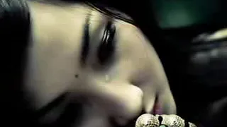 امبارح بالليل كنت بكلم صورتك   فضل شاكر  هيثم جسار دندنها