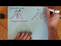 Cinder Cone Composite and Shield Volcanoes
