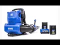 Kobalt 40v Backpack Blower Clearance Special
