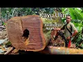 Lagu Kayu ulin kokoh yang di buat papan eksotis. Menggunakan mesin chainsaw 070.!! 