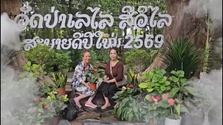 ງາມສຸດໆໄປທ່ຽວວັດປ່າເລໄລ.วัดปาเลไล