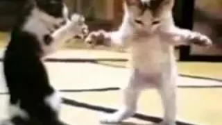نننن دندنها