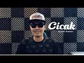 Download Lagu Cicak (Cover) Amir Hakimie