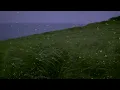 Rain & Wind Sounds for Sleep & Relaxation w/ Distant Thunder & Ocean Waves | Relaxing White Noise