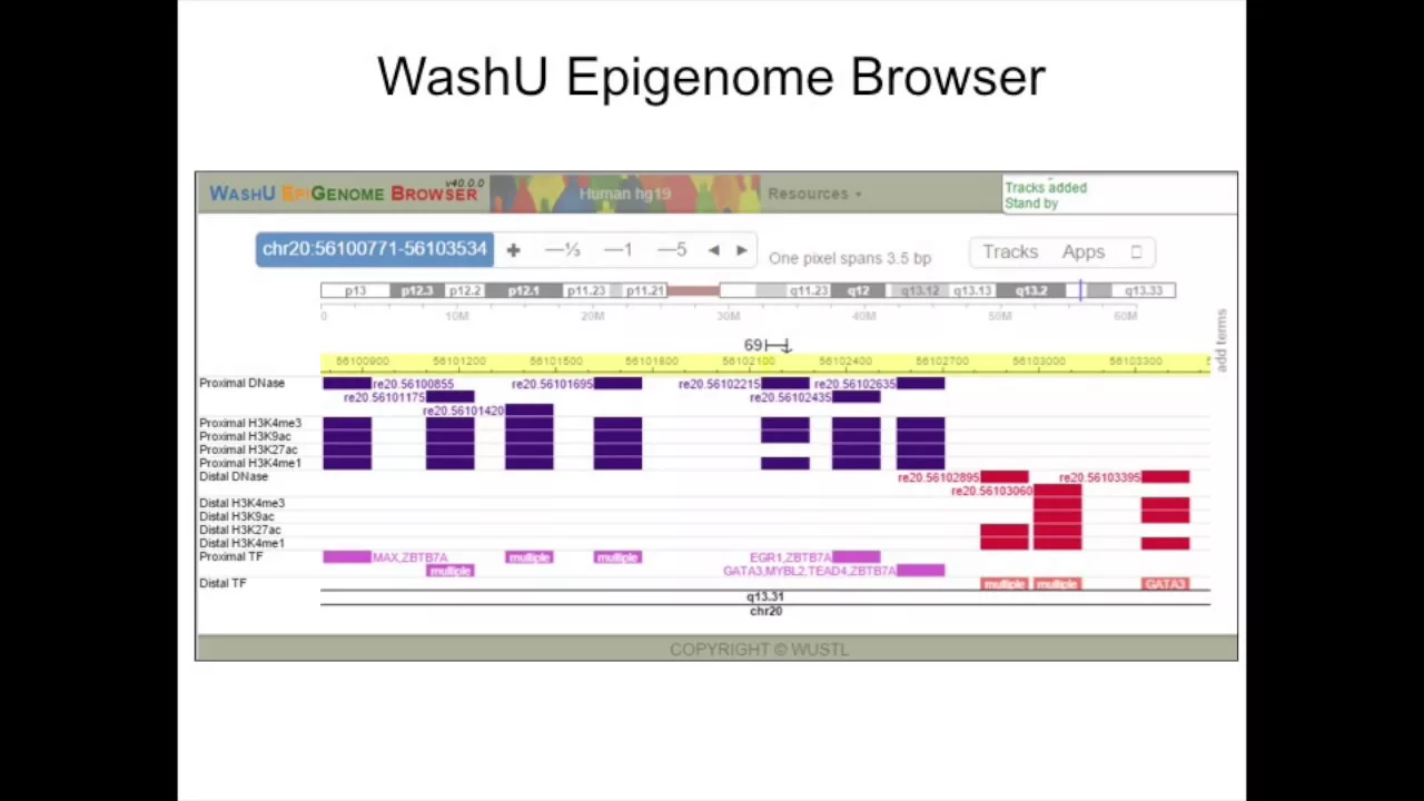The ENCODE Encyclopedia and Variant Annotation Using RegulomeDB and HaploReg - Jill E. Moore