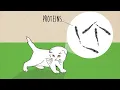 Mutations and New Traits