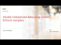How to deal with unbalanced dataset using custom samplers in Pytorch