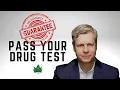 100 Guaranteed Way to Pass Your Marijuana Drug Test This is the ONLY way to Successfully Pass