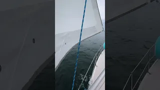 slow sailing a foggy New England day, 4kts SOG, 36NM to go #sailboats #sailingfamily #sailing