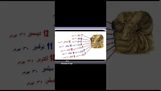 عدد أيام الأشهر الميلادية دندنها