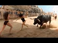 Download Lagu When Animals Go On A Rampage And Got Caught On Camera !