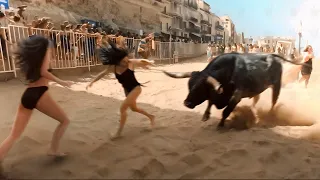 when animals go on a rampage and got caught on camera 