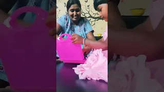 swati naidu playing in today