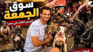 نزلنا سوق الجمعة نجيب كلب جديد وشرس😱🐶