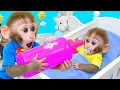 Download Lagu Monyet Bibu Imut Jadi Kakak Hebat yang Merawat Adik dan Menyelamatkan Teman Kucing dari Bahaya
