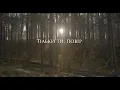 Плач Єремії (Тарас Чубай) - Червона рута (Lyric Video)