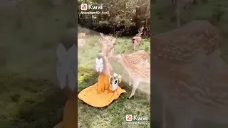 وحيات من خلق محمد دندنها