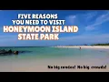 Top Five Reasons to visit Honeymoon Island State Park Beach