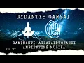 Download Lagu Gydanti Muzika Kūnui, Nervų Sistemai, Sveikatai | Atsipalaiduok Su Ambientiniais Garsais ir 432 Hz
