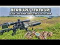 Lagu Berburu Tekukur ‼️ Auto Panen || Black Lava S0N1C musuh Angin Ribut