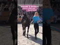 Download Lagu Wij gaan naar HORSE EVENT! 🤩🎉 10% kortingscode: daphnexhe2025