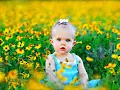 Dreams Are The Flowers (That Bloom in Your Heart)